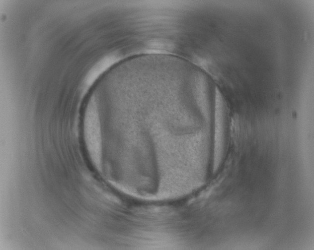 X0000065970292200603172057