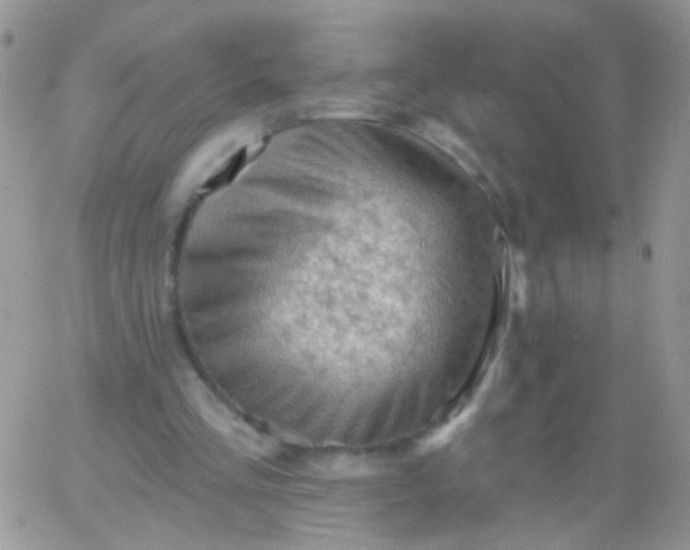 X0000065970293200603172057