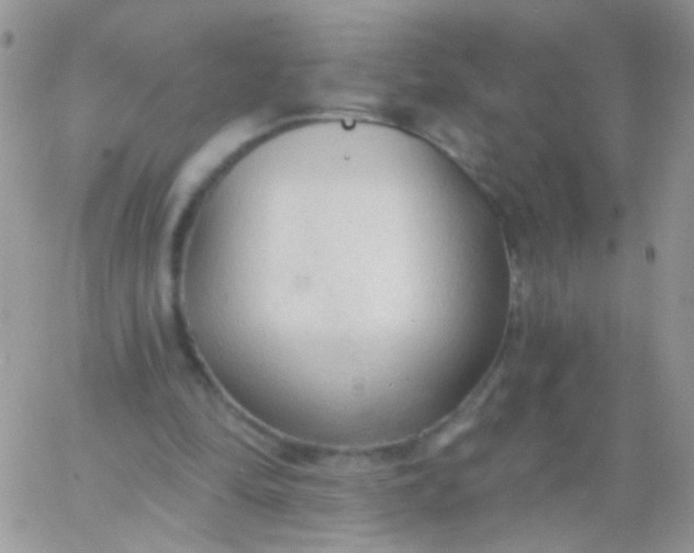 X0000065970294200603172057