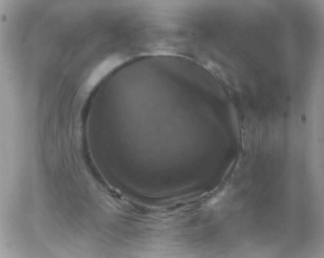 X0000065970295200603172057