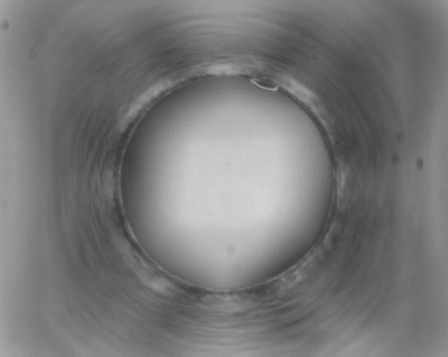 X0000065970297200603172057