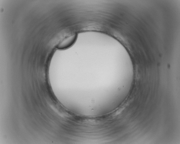 X0000065970298200603172057