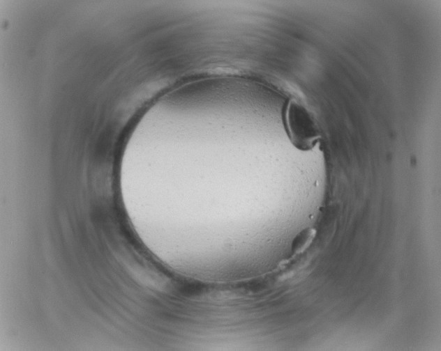 X0000065970299200603172057