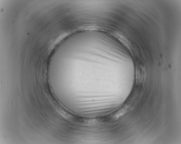 X0000065970301200603172057