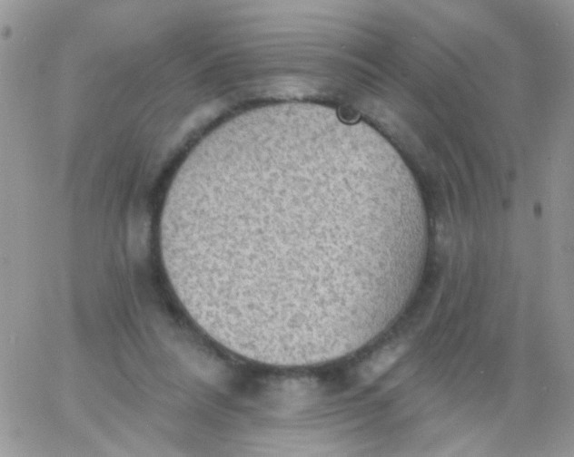 X0000065970304200603172057