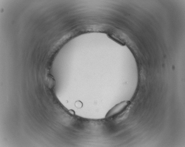 X0000065970305200603172057