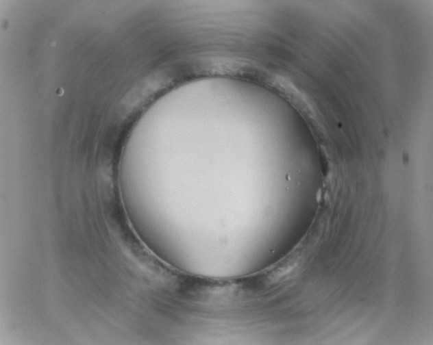 X0000065970306200603172057