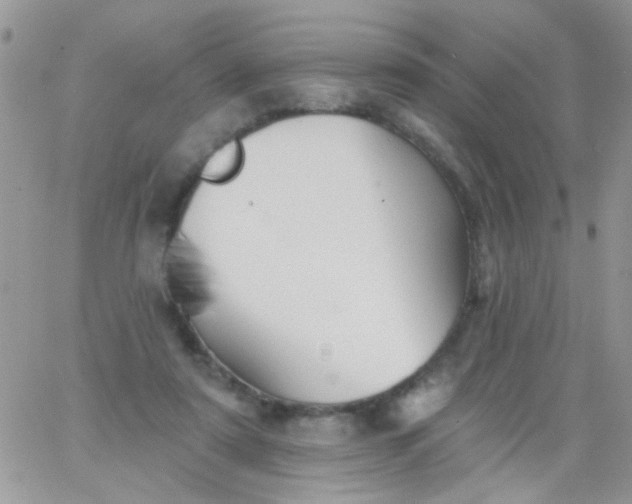 X0000065970307200603172057