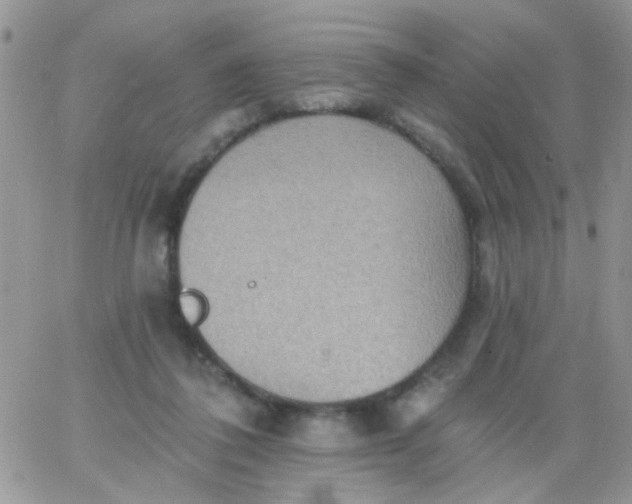 X0000065970308200603172057