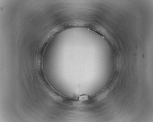 X0000065970309200603172057