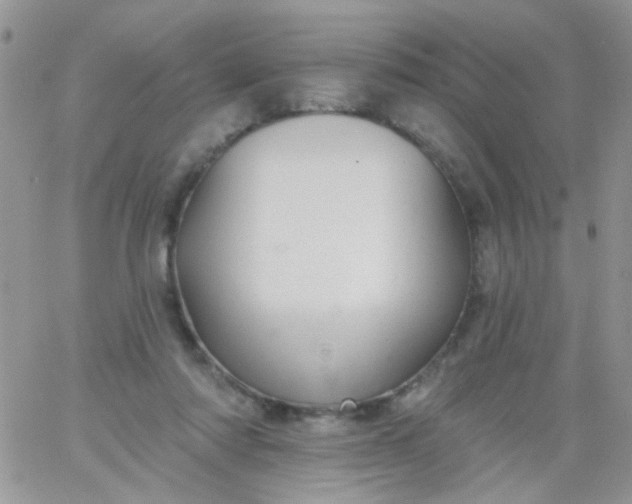 X0000065970310200603172057