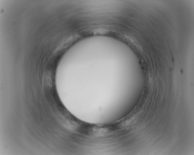 X0000065970311200603172057