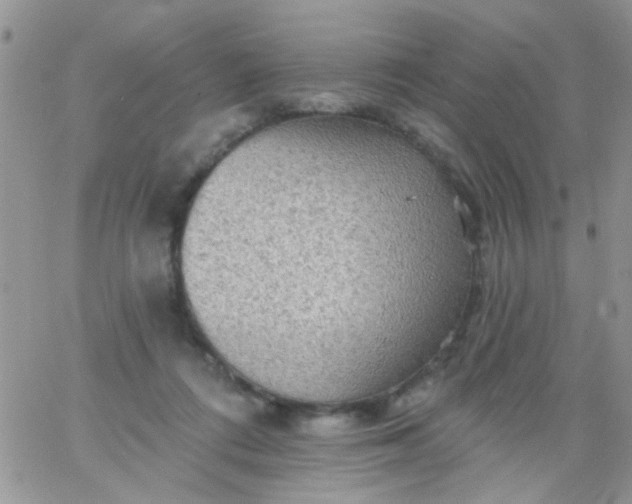 X0000065970312200603172057