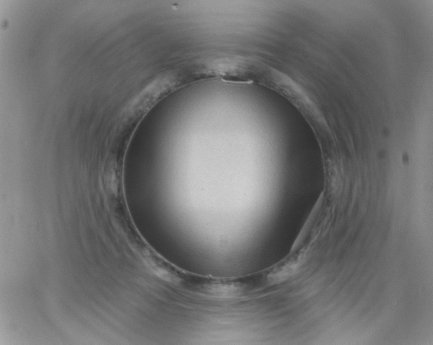 X0000065970313200603172056