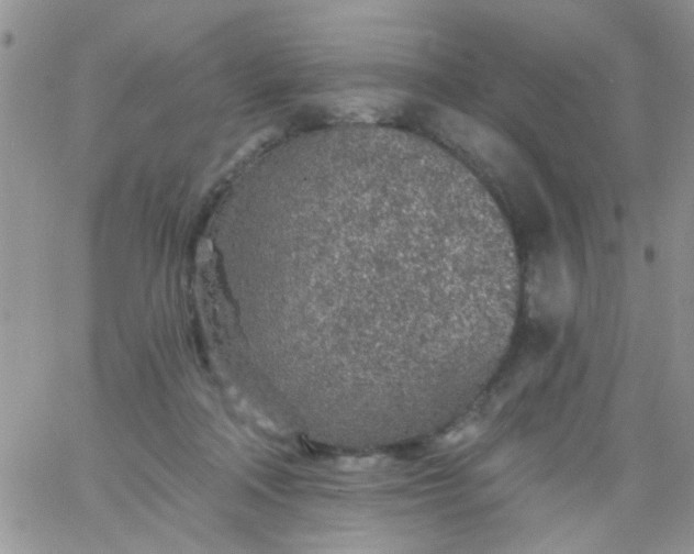 X0000065970314200603172056