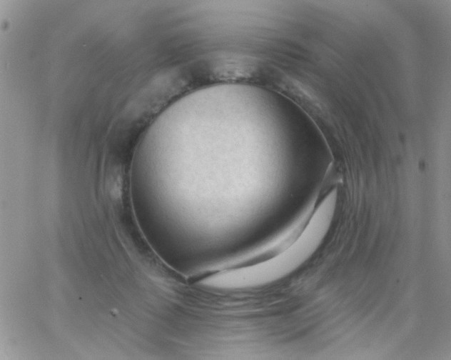 X0000065970315200603172056