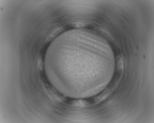 X0000065970316200603172056