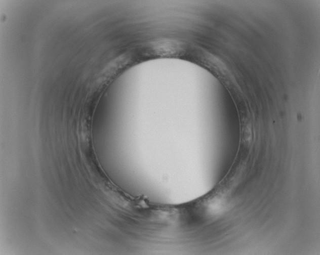 X0000065970317200603172056