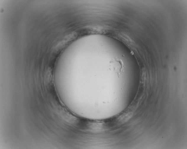 X0000065970318200603172056