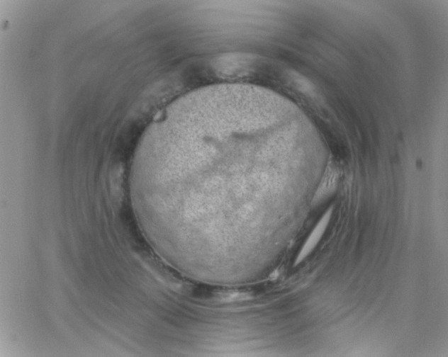 X0000065970319200603172056