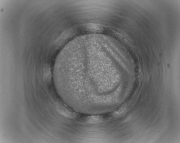 X0000065970320200603172056