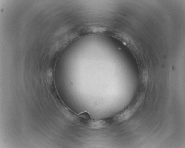 X0000065970321200603172056