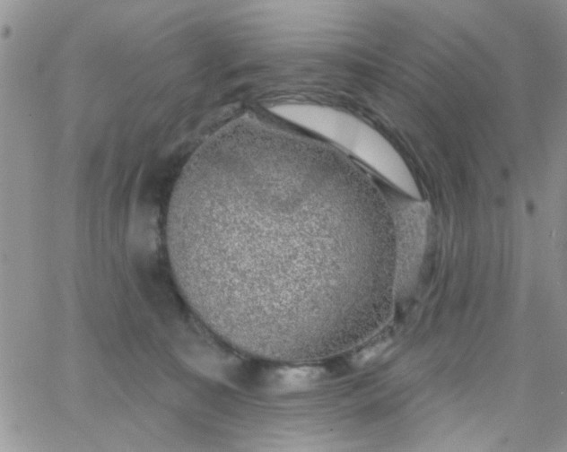 X0000065970323200603172056