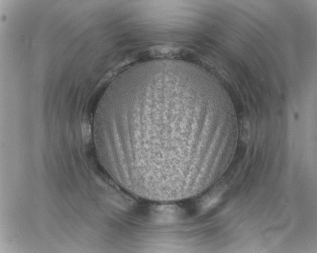 X0000065970324200603172056