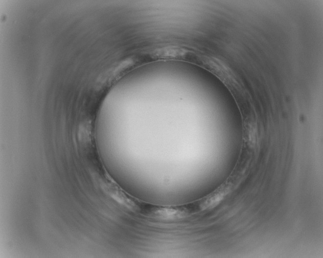 X0000065970326200603172056