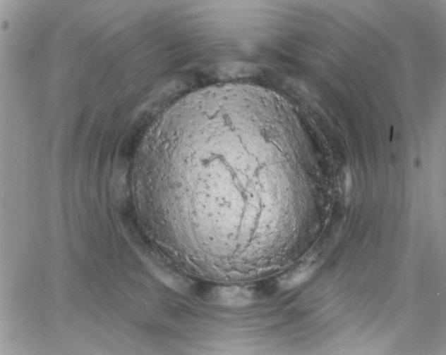 X0000065970327200603172056