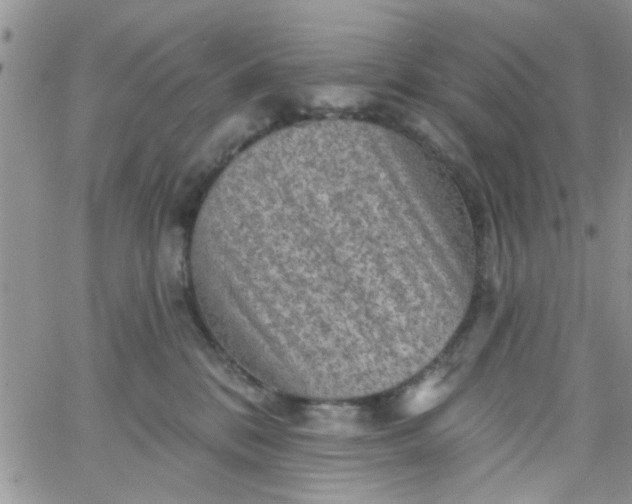 X0000065970328200603172056