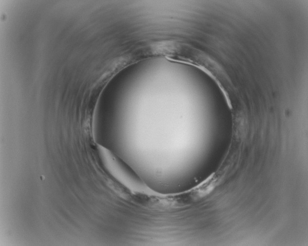 X0000065970329200603172056