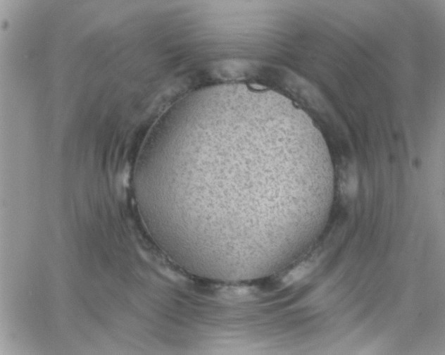 X0000065970332200603172056