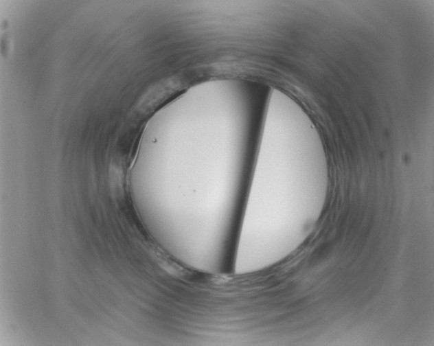 X0000065970333200603172056