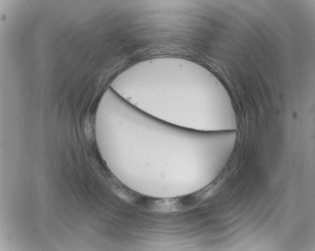 X0000065970335200603172056