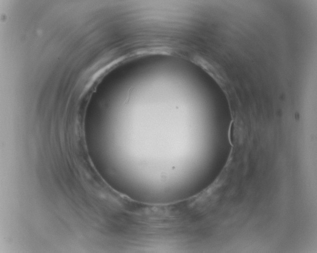 X0000065970338200603172055