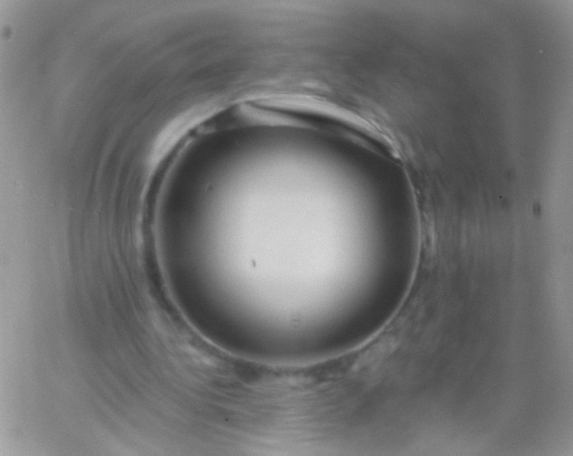 X0000065970340200603172055