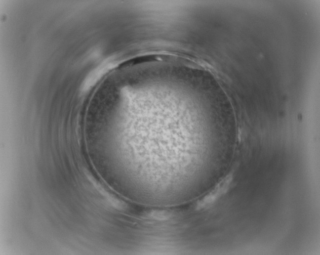 X0000065970341200603172055