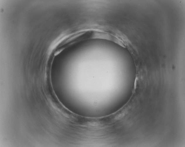 X0000065970344200603172055