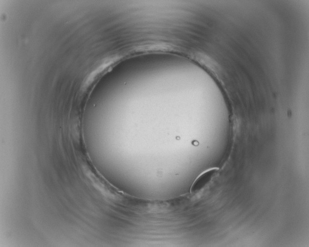 X0000065970345200603172055