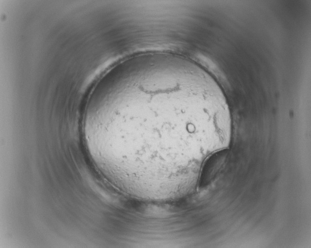 X0000065970346200603172055