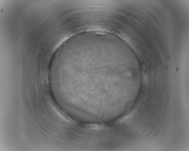 X0000065970347200603172056