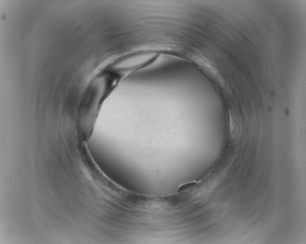 X0000065970348200603172056