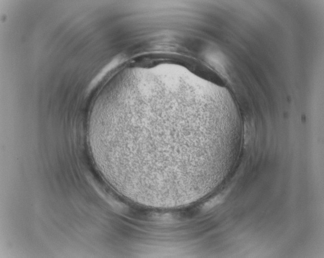 X0000065970349200603172056