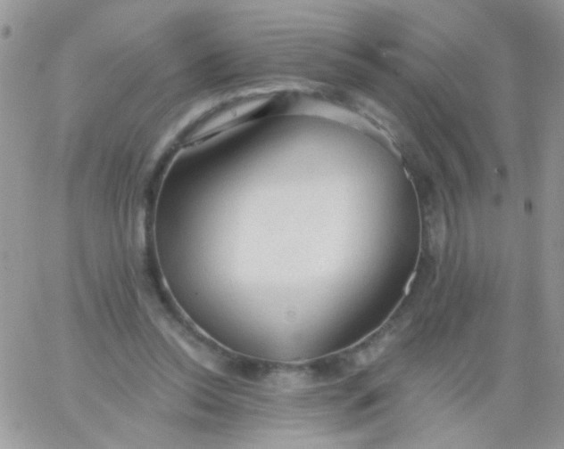 X0000065970350200603172056