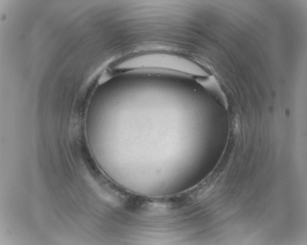 X0000065970352200603172056