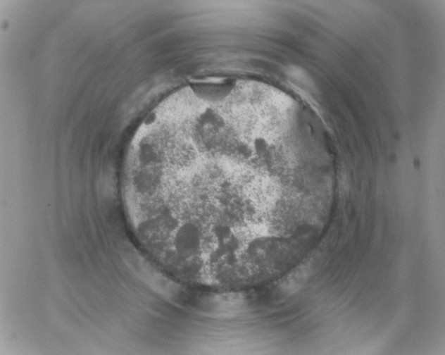 X0000065970353200603172056