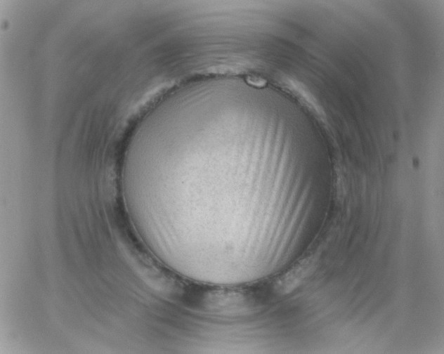 X0000065970354200603172056