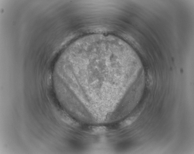 X0000065970355200603172056