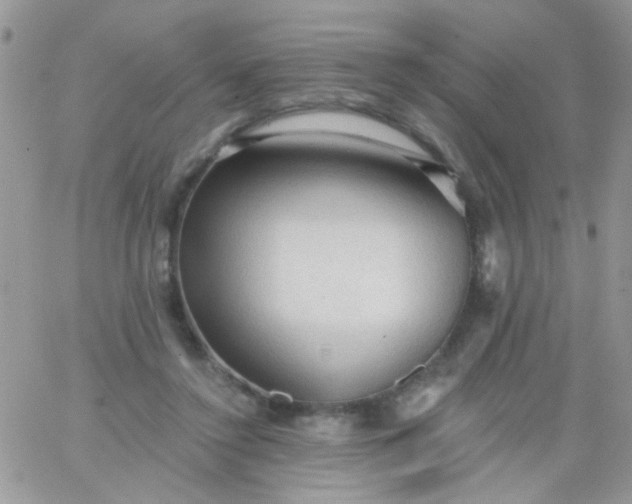 X0000065970356200603172056